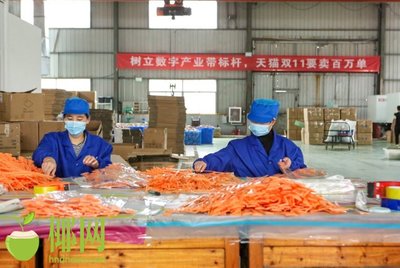 火爆！天貓雙十一小家電銷量巨增，日用百貨掀起消費(fèi)熱潮